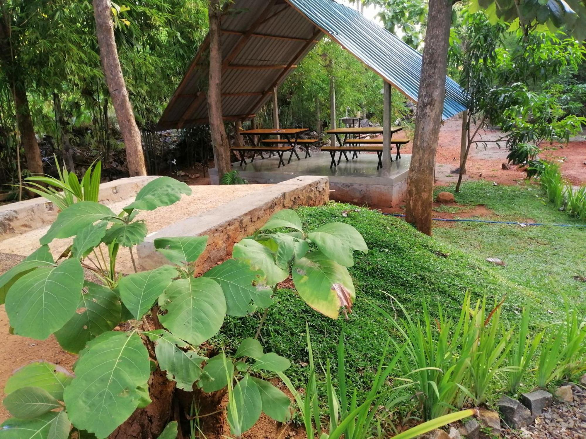 Malwathu Oya Forest Garden Anuradhapura Eksteriør billede