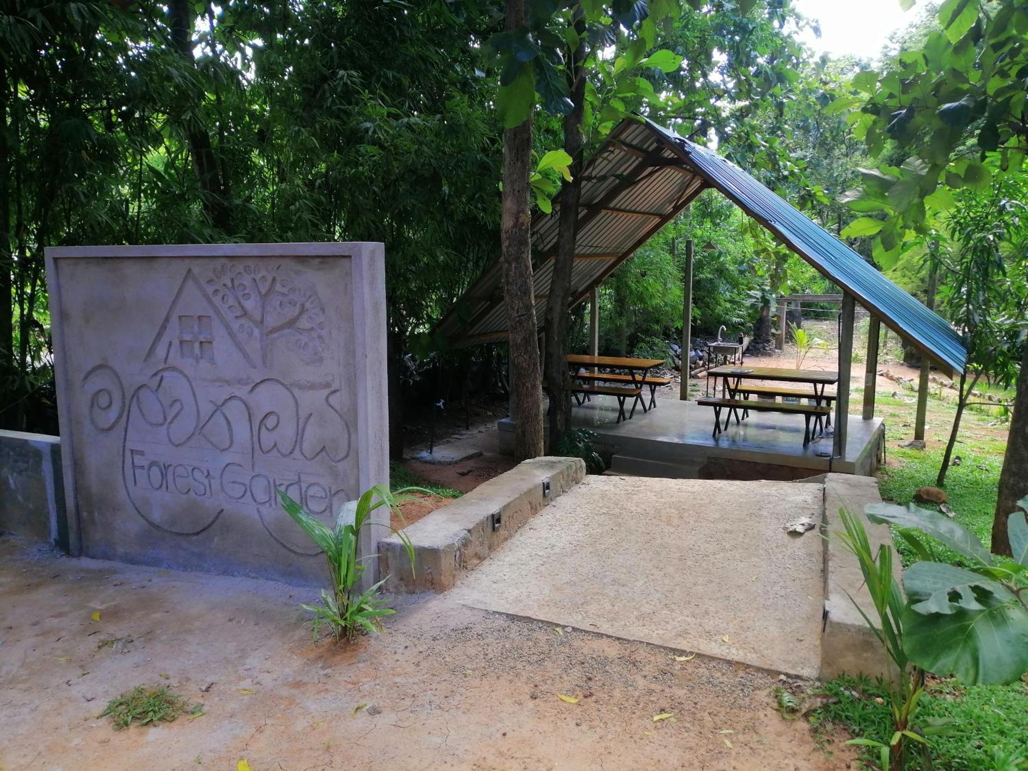 Malwathu Oya Forest Garden Anuradhapura Eksteriør billede